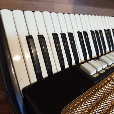 Akordeon (harmonika, heligonka) Delicia 80 basů