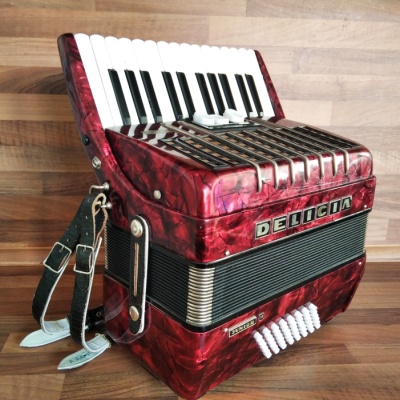 Akordeon (harmonika, heligonka) Delicia Junior