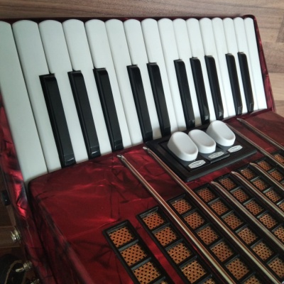 Akordeon (harmonika, heligonka) Delicia Junior 60 basů