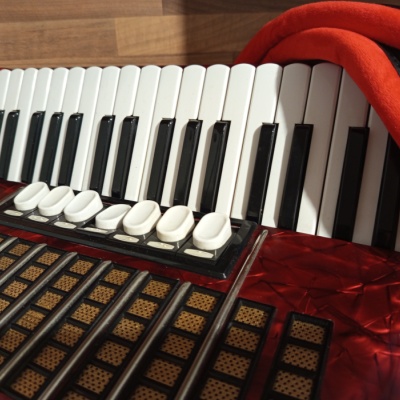 Akordeon (harmonika, heligonka) Delicia Arnaldo
